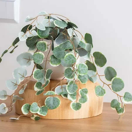 Apartament Baltic Nomad Bastion Walowa Old Town By Renters *