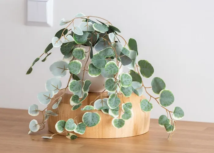 Apartment Baltic Nomad Bastion Walowa Old Town By Renters *